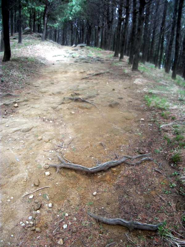 dscf0527.jpg