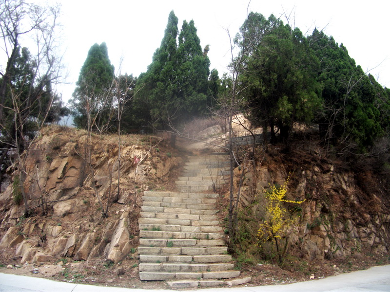 dscf0528.jpg