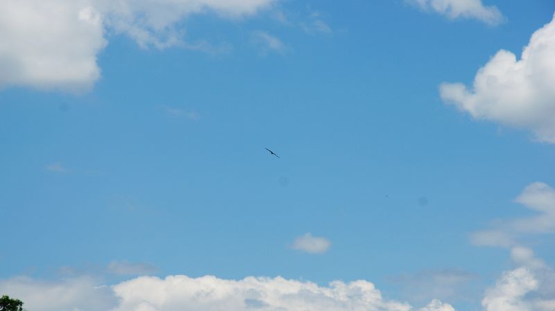 dsc02469.jpg