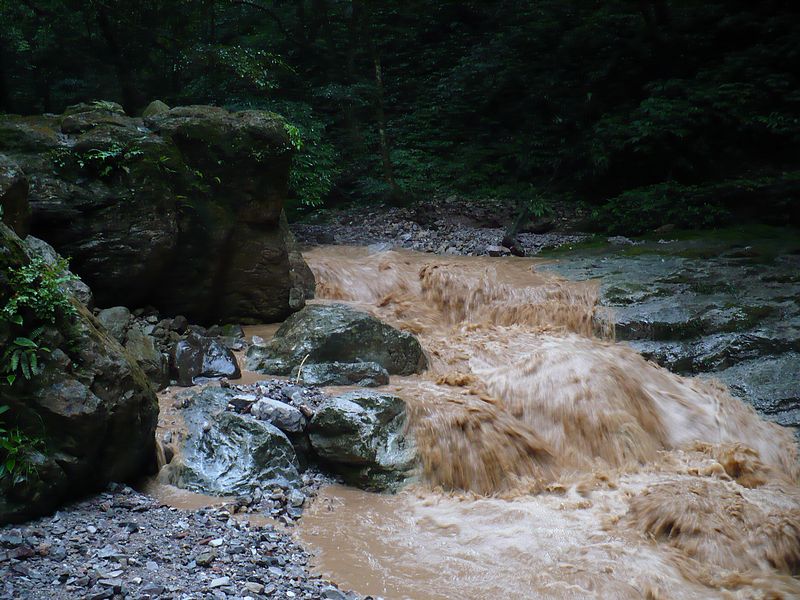 p1050590.jpg