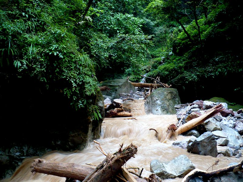 p1050604.jpg