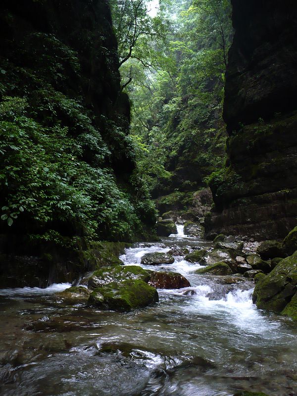 p1050633.jpg