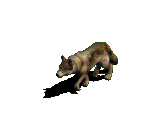 201212167511113818.gif