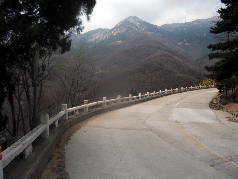 dscf0529.jpg