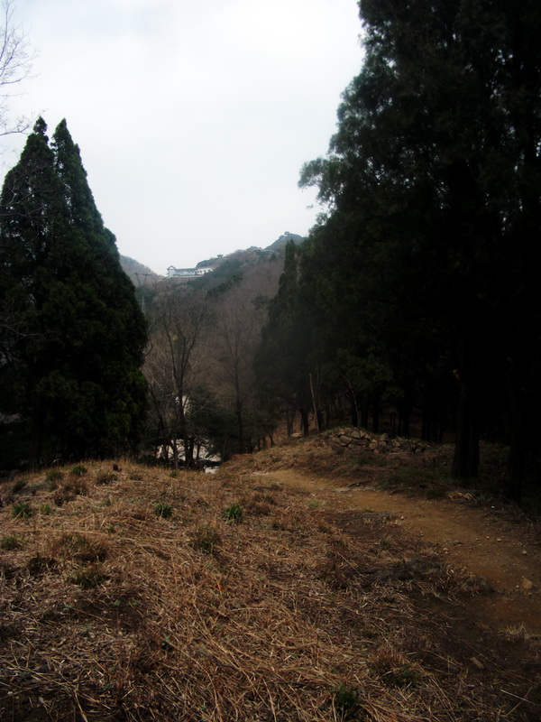 dscf0530.jpg