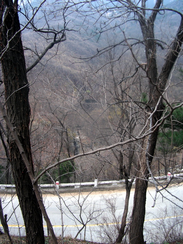 dscf0531.jpg