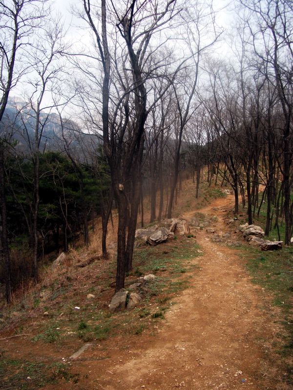 dscf0532.jpg