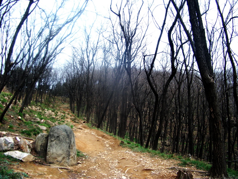 dscf0533.jpg