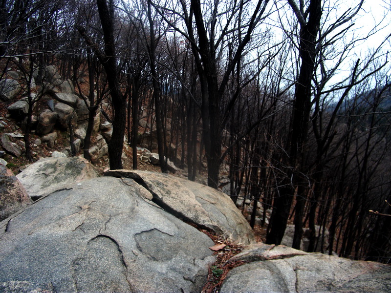 dscf0535.jpg