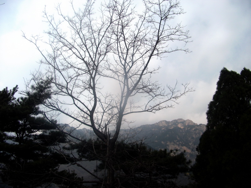 dscf0536.jpg
