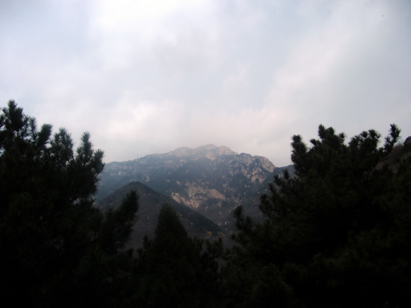 dscf0538.jpg