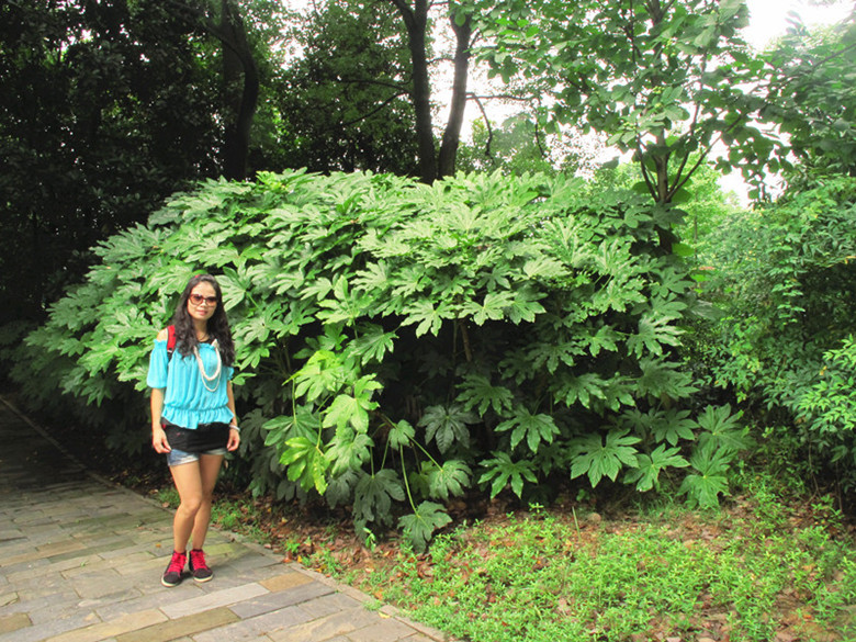 20120714ĥɽͽ 049__.jpg