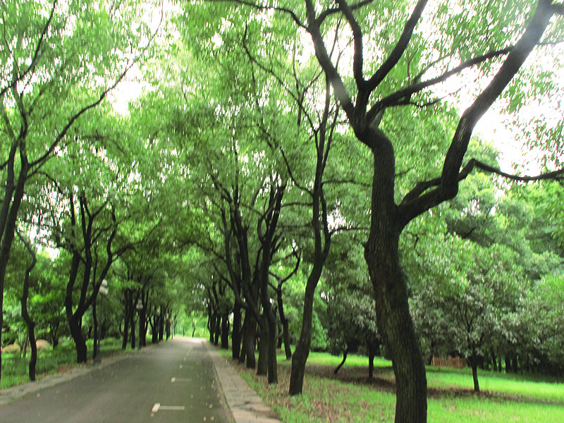 20120714ĥɽͽ 056_.jpg