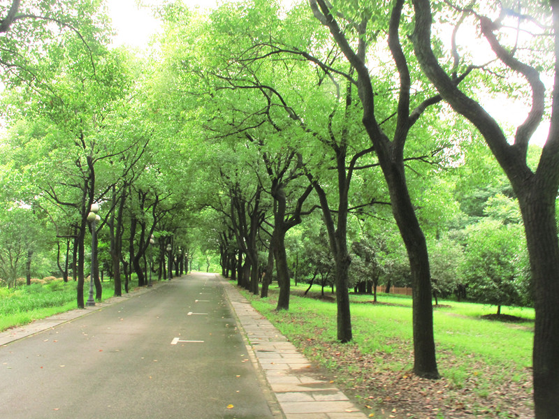 20120714ĥɽͽ 055_.jpg