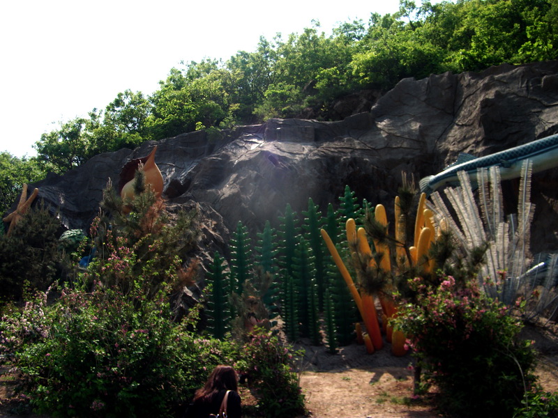 dscf0528.jpg