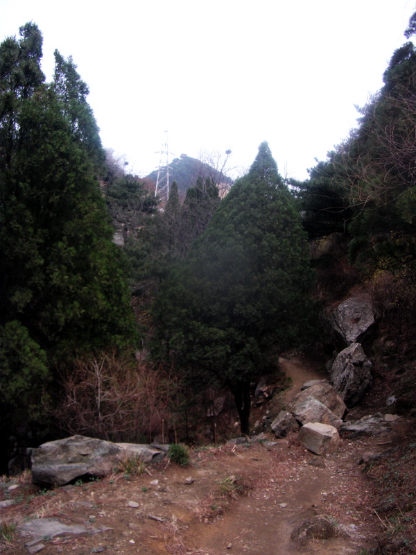 dscf0539.jpg