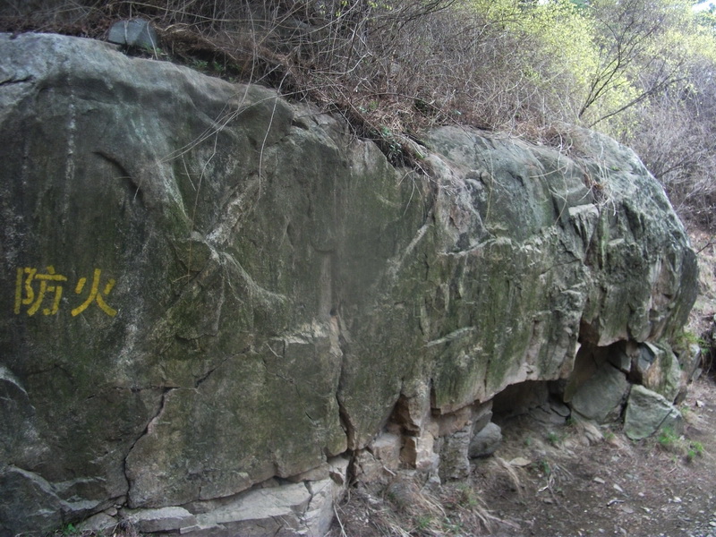 dscf0540.jpg