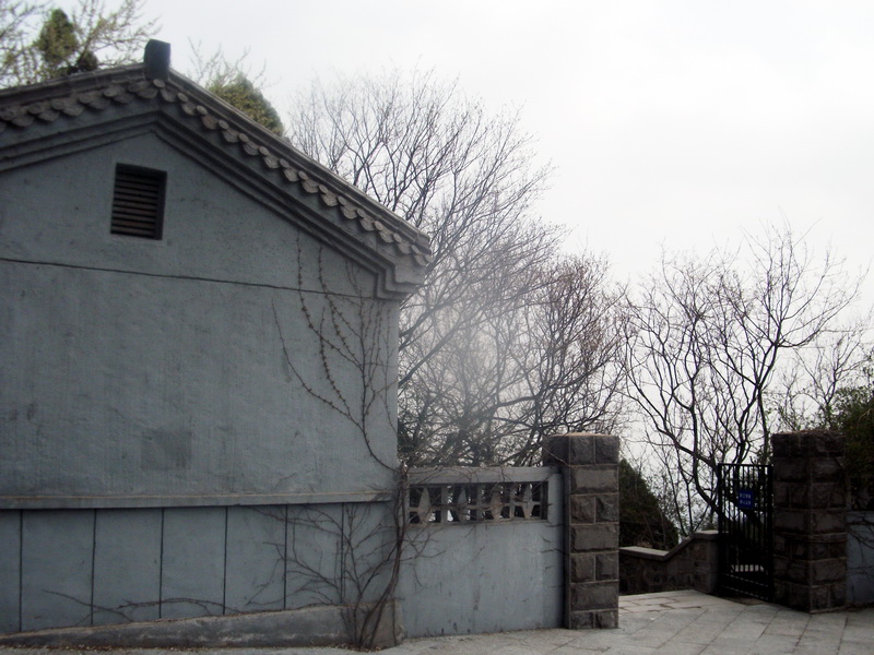 dscf0542.jpg