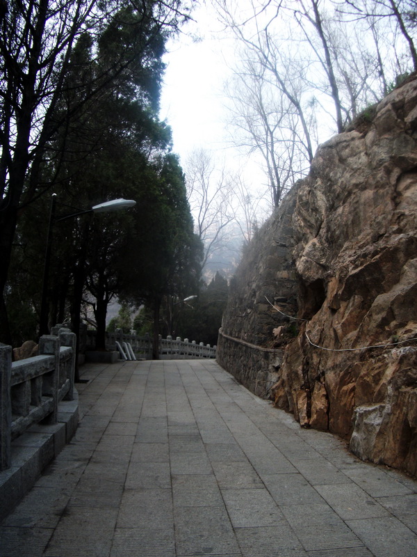 dscf0543.jpg
