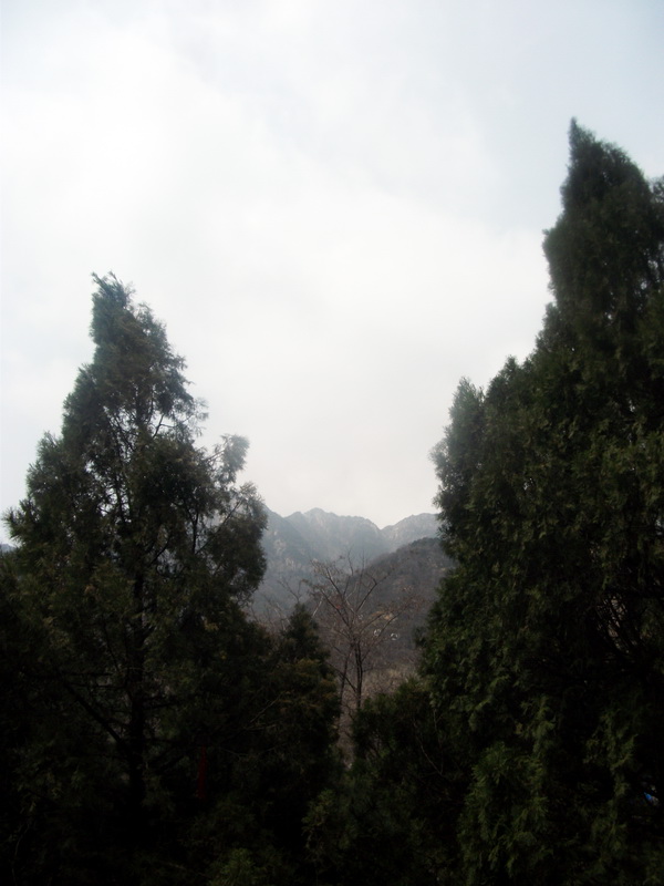 dscf0544.jpg