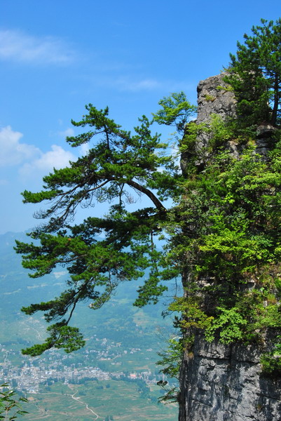 2012ڶʩϿ_067_С.jpg