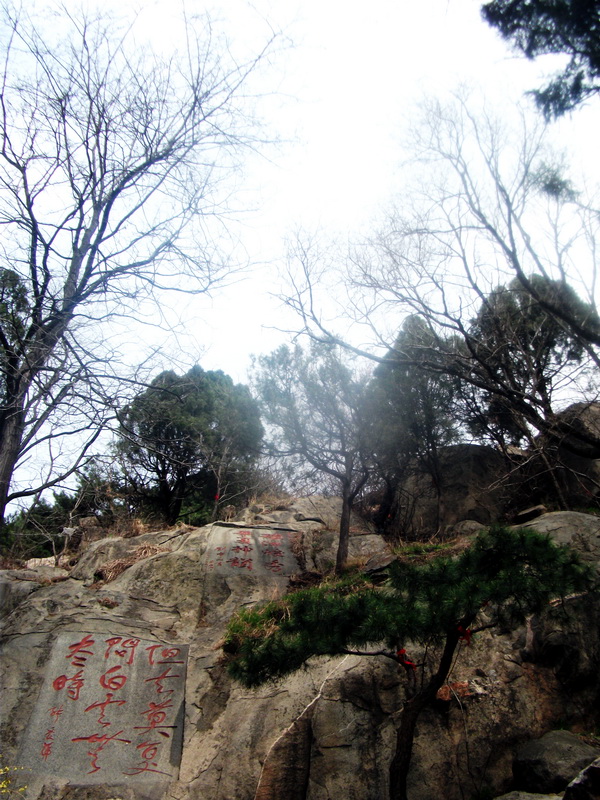 dscf0551.jpg