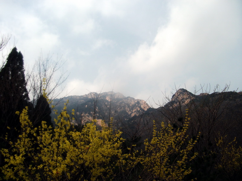 dscf0548.jpg