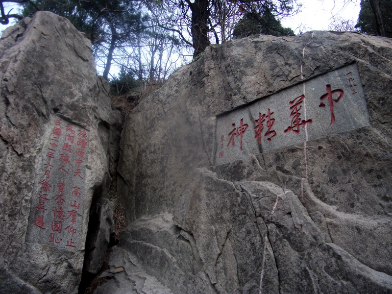 dscf0550.jpg