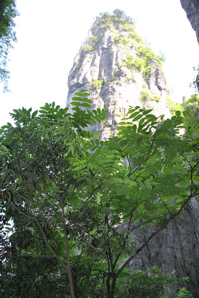 2012ڶʩϿ_100_С.jpg