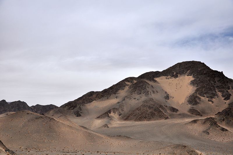 dsc_0220.jpg