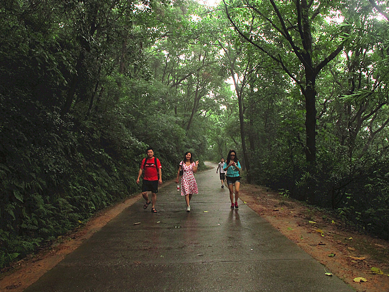 20120714ĥɽͽ 018_.jpg
