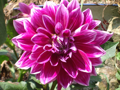 imgp3741_.jpg