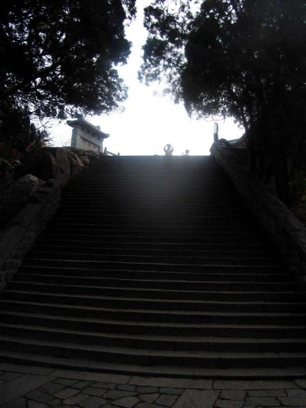 dscf0553.jpg