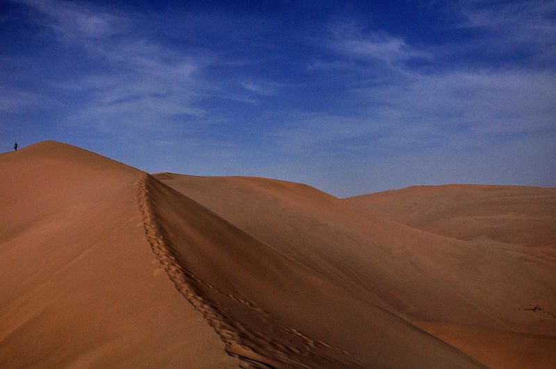 dsc_0017.jpg