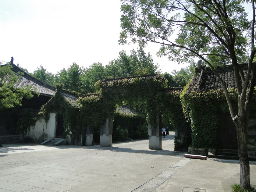 羰  (34).jpg