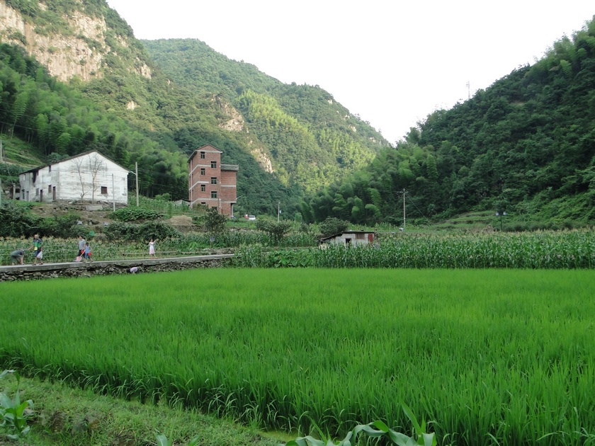 羰  (66).jpg