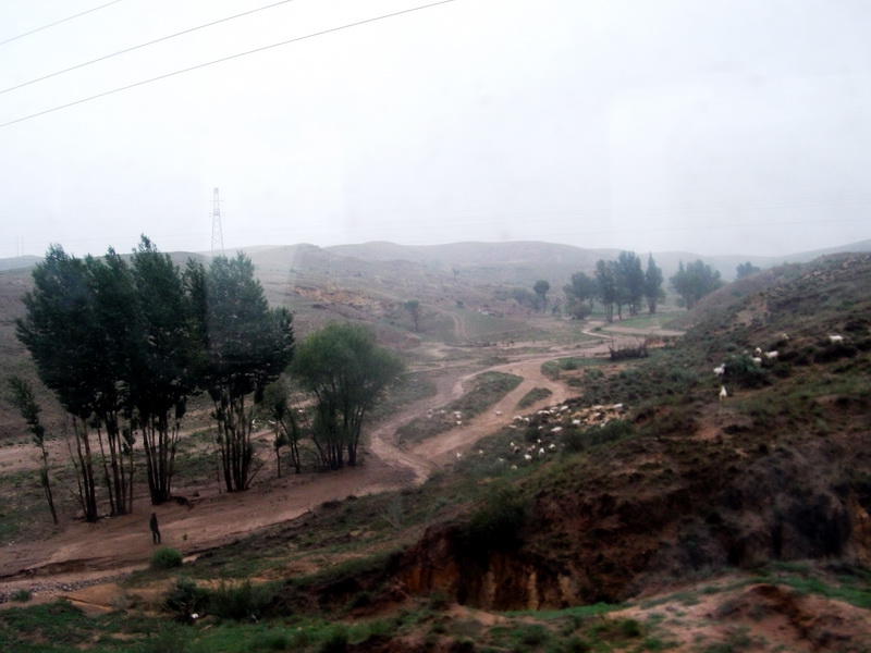 dscf0086.jpg