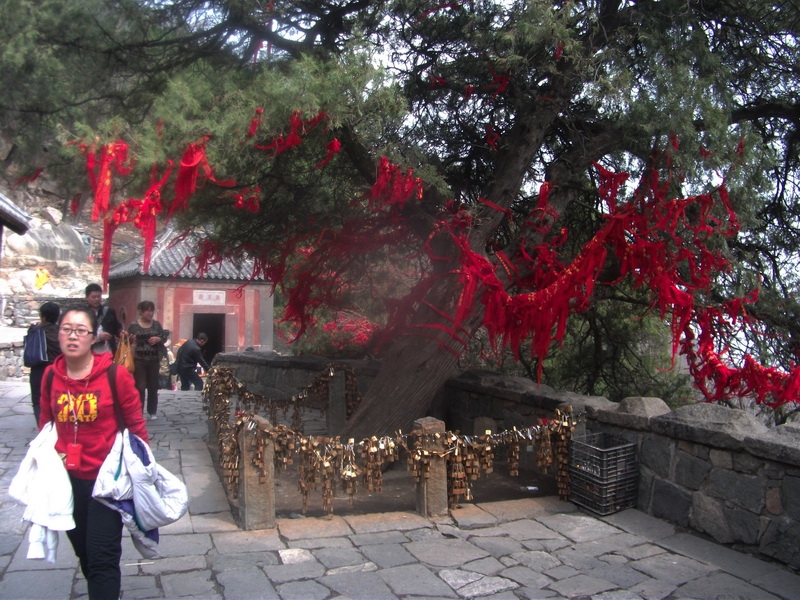 dscf0562.jpg