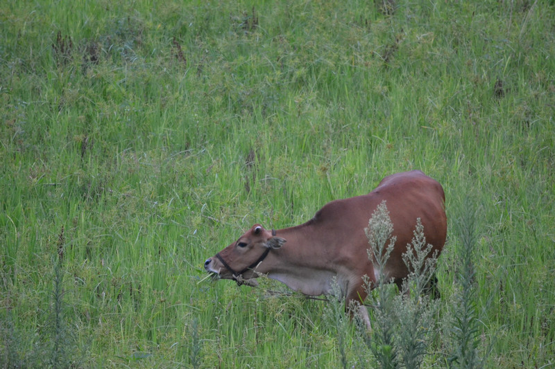 dsc_0144.jpg