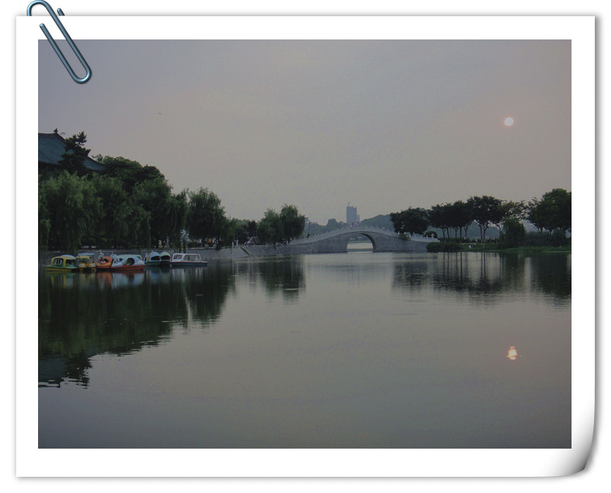 dsc01869_.jpg