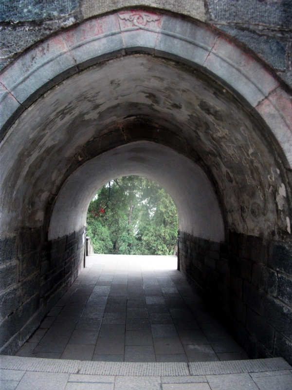 dscf0568.jpg