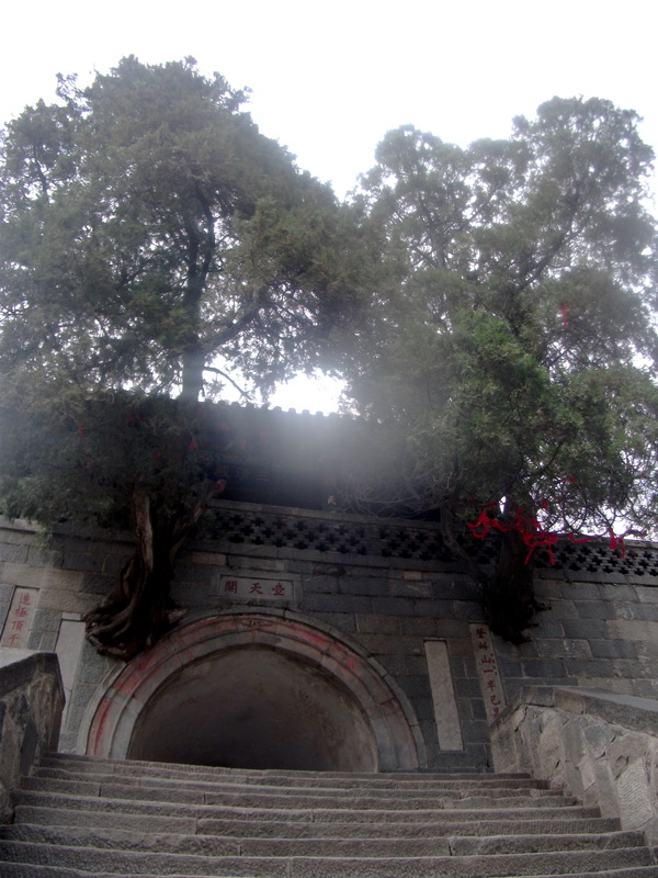 dscf0570.jpg