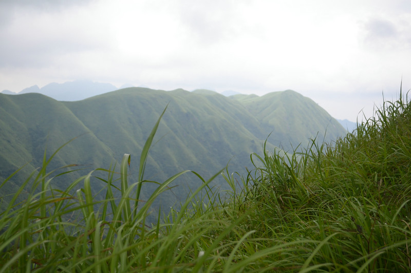dsc_0373.jpg