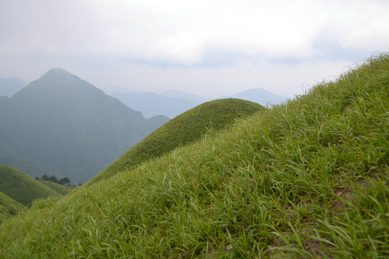 dsc_0412.jpg