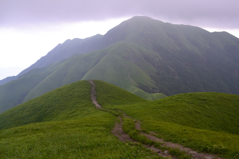 dsc_0470.jpg