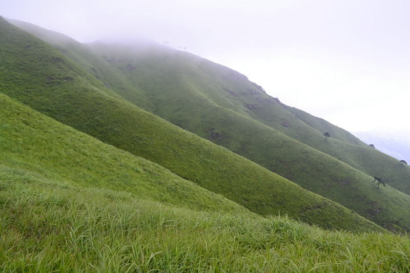 dsc_0476.jpg