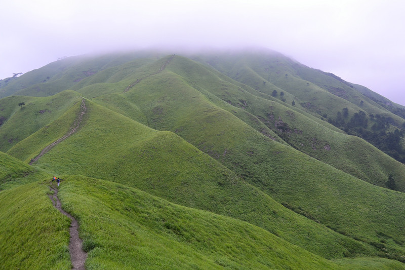 dsc_0503.jpg