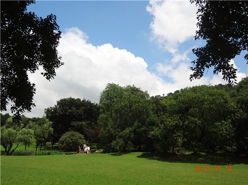 dsc03011_.jpg