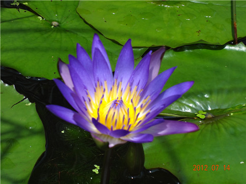 dsc02991_.jpg