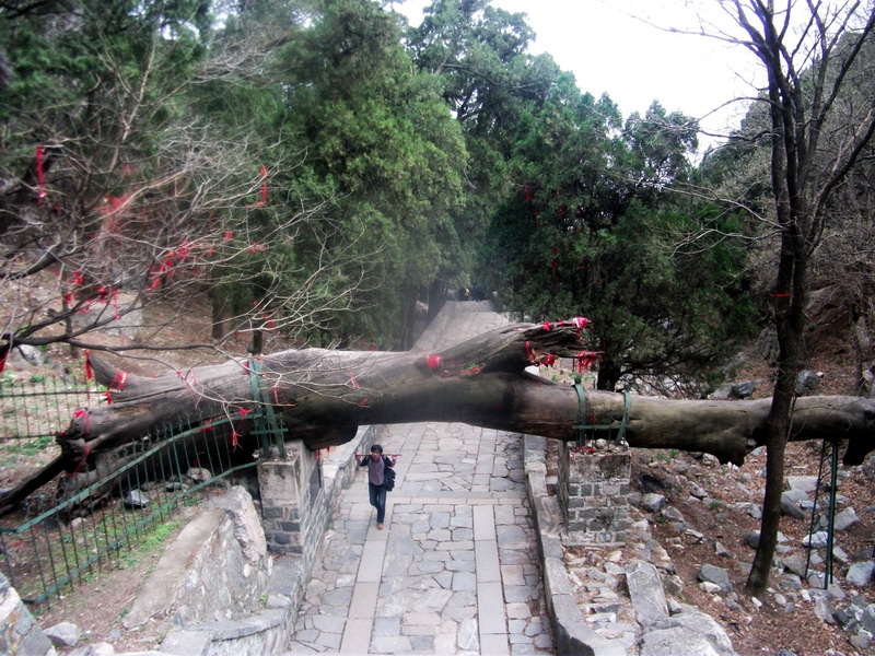 dscf0572.jpg